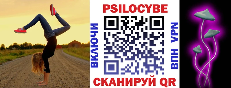 купить наркотики цена  Карачаевск  Псилоцибиновые грибы Psilocybine cubensis 