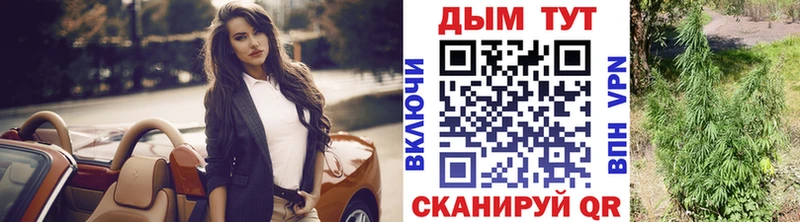 наркошоп  Карачаевск  Канабис план 